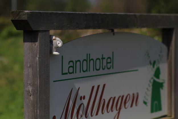 Landhotel Moellhagen Schulp bei Nortorf Zewnętrze zdjęcie